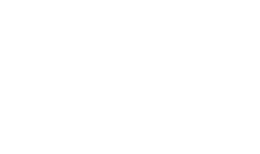 Space Galleon Ltd logo